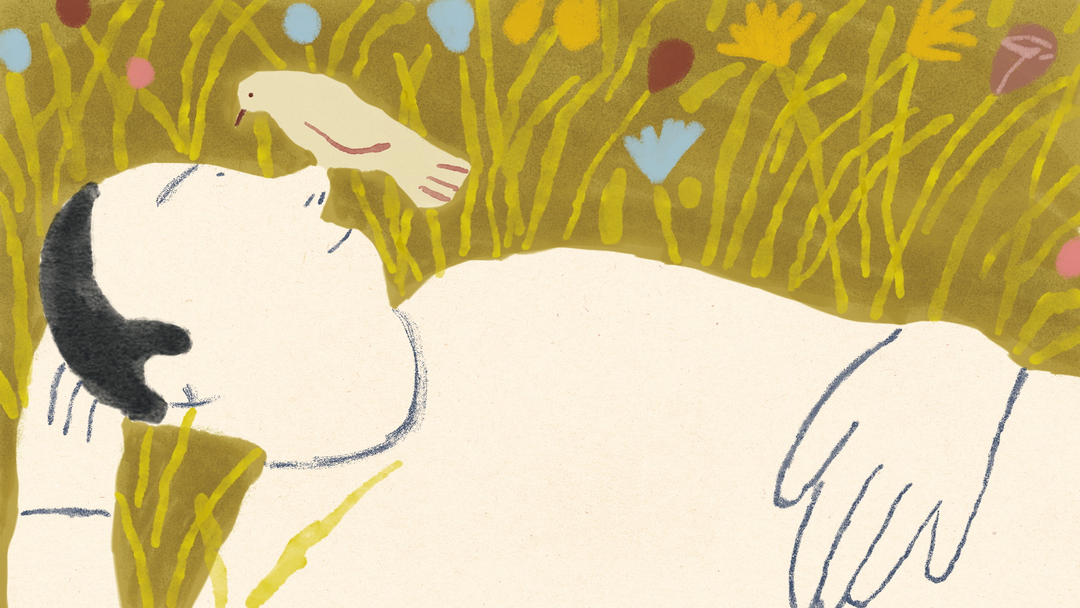 KatyWang-CharlotteAger-Animation-itsnicethat.png