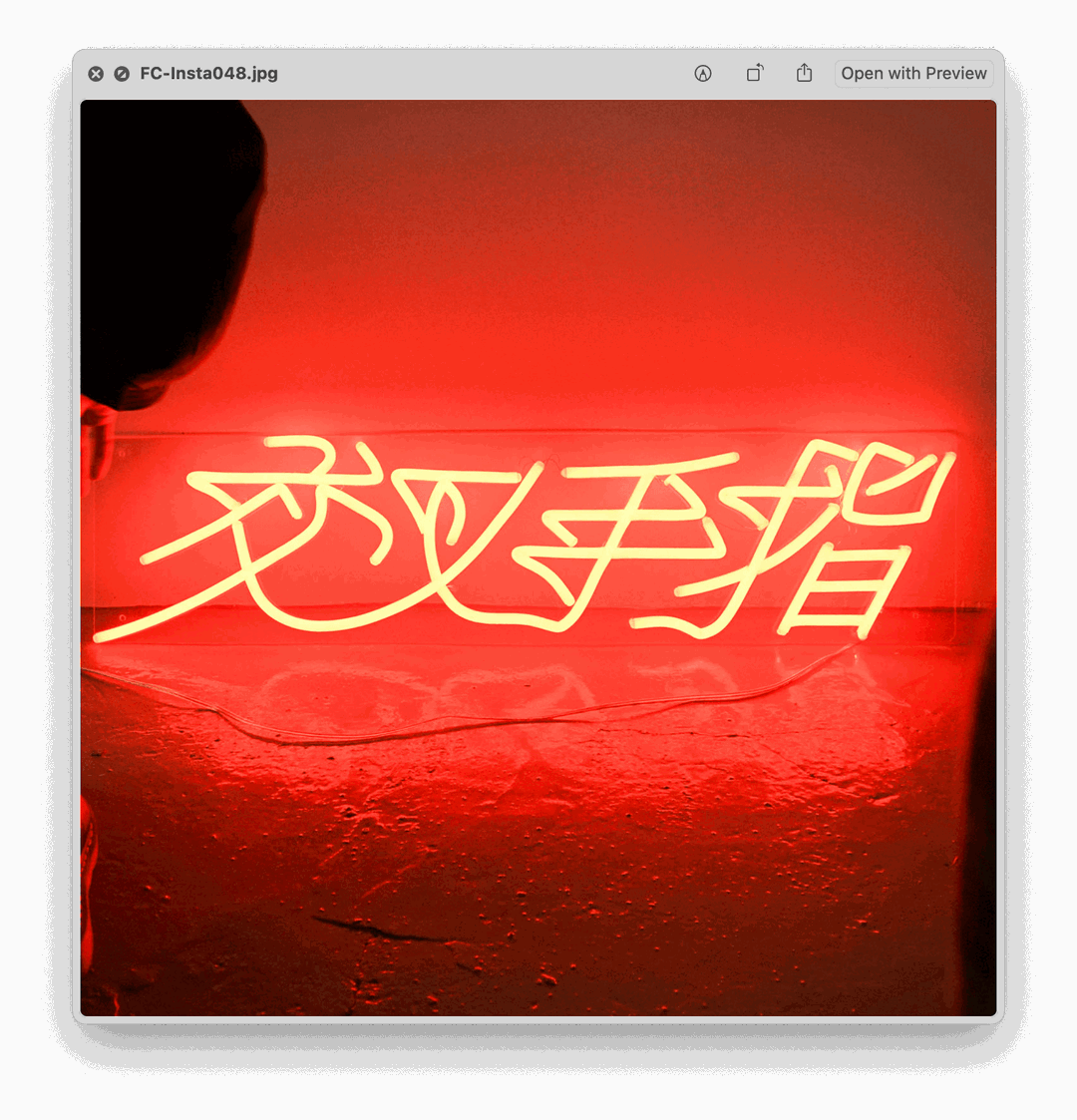 Federico Paviani - David Loy - Finger Crossed Exhibition (Federico Paviani and David Loy © 2020).png