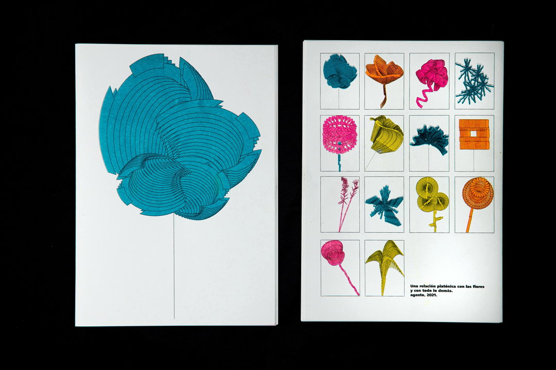 veraluciájiménez-gd-itsnicethat06