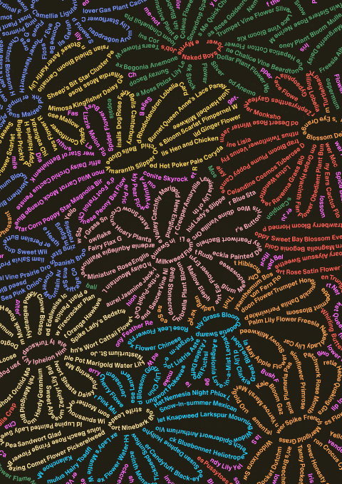 Canva_Feature