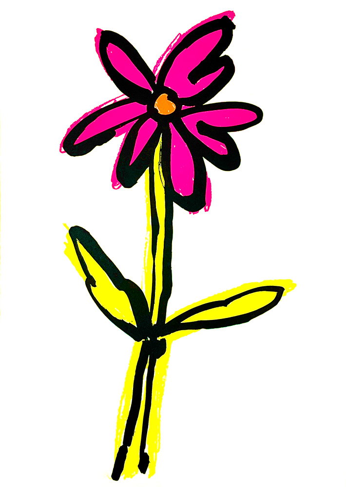 Fluro full (pink and yellow).jpg