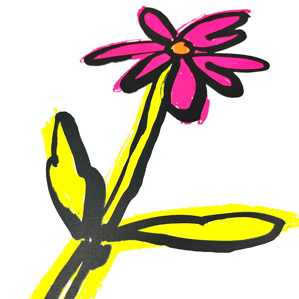Fluro pink and yellow side.jpg