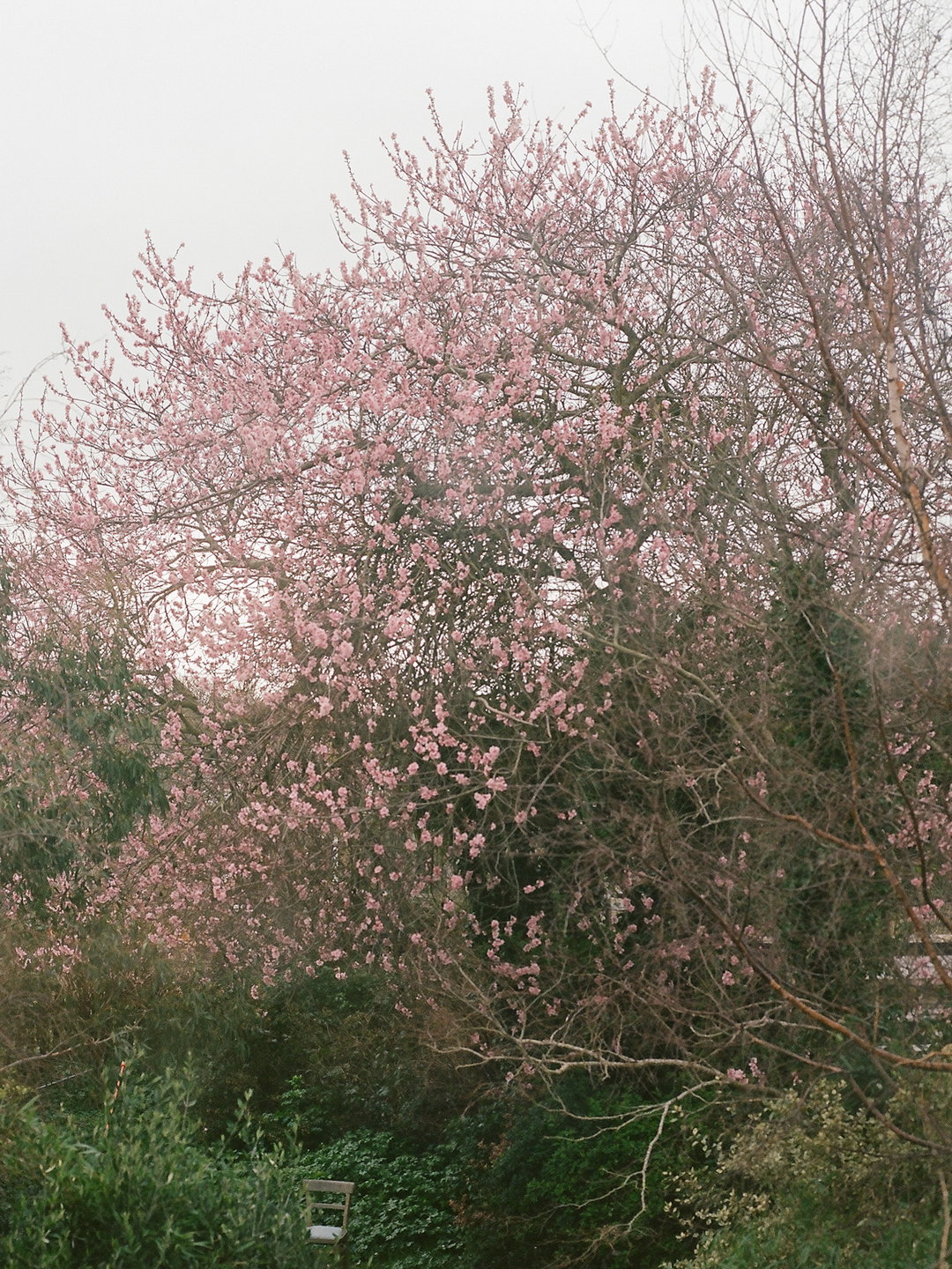kat-green-tam-photography-itsnicethat08