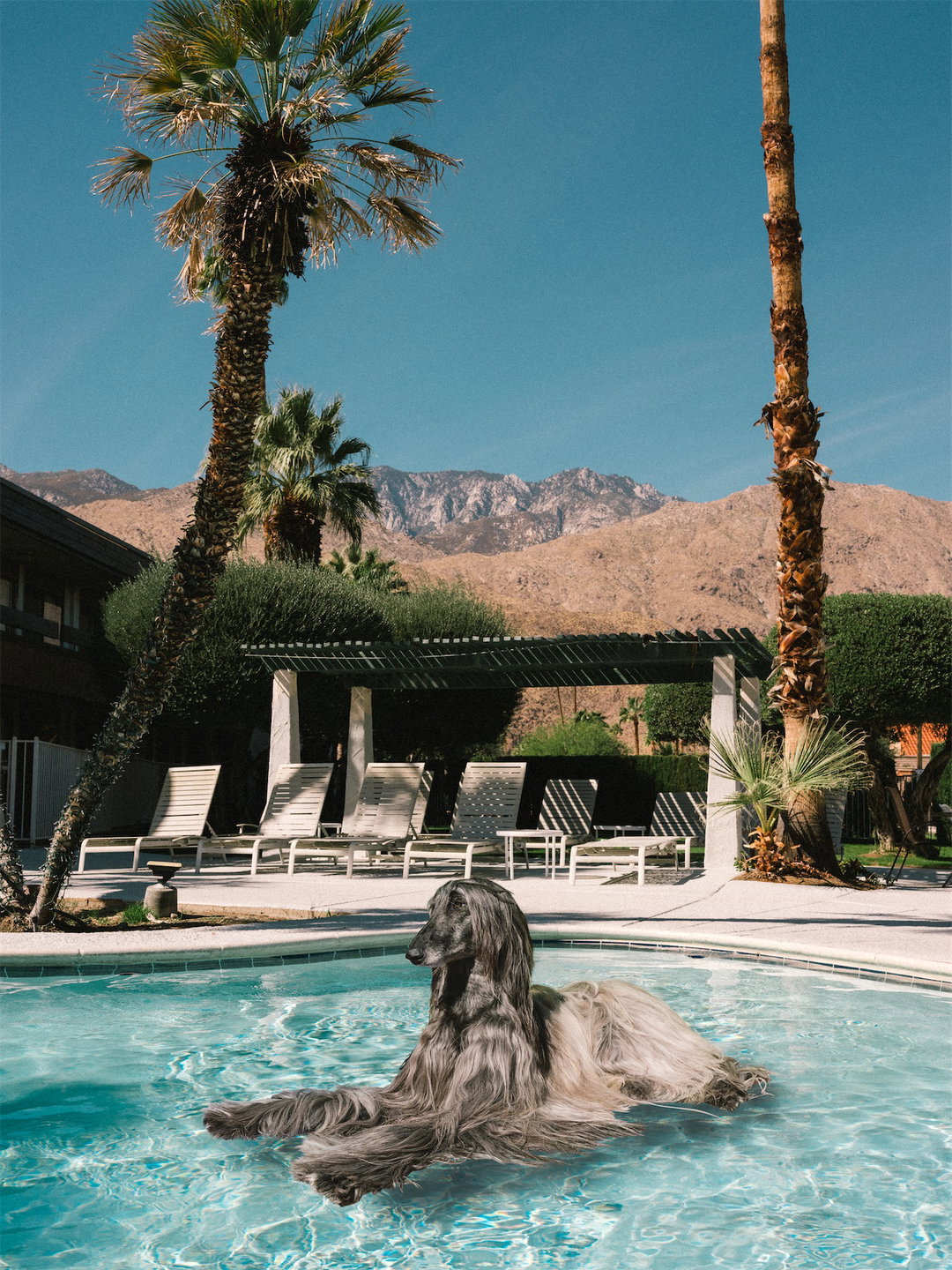 DanielGebhartDeKoekkoek-FloatingAfghans-Photography-itsnicethat-01.jpg