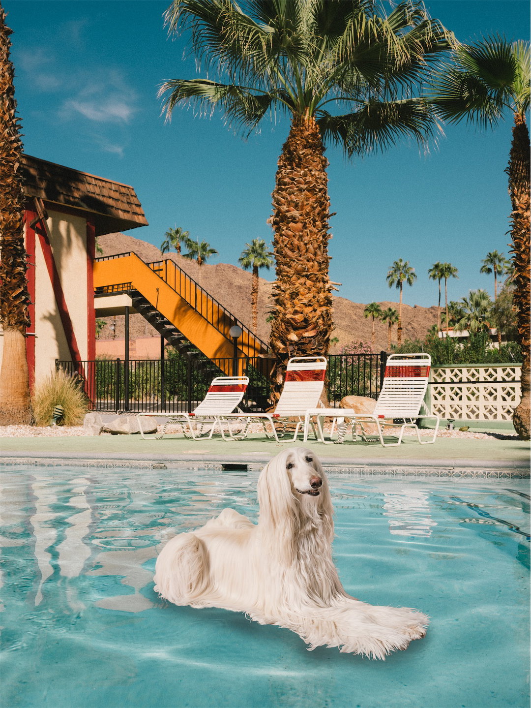 DanielGebhartDeKoekkoek-FloatingAfghans-Photography-itsnicethat-06.jpg
