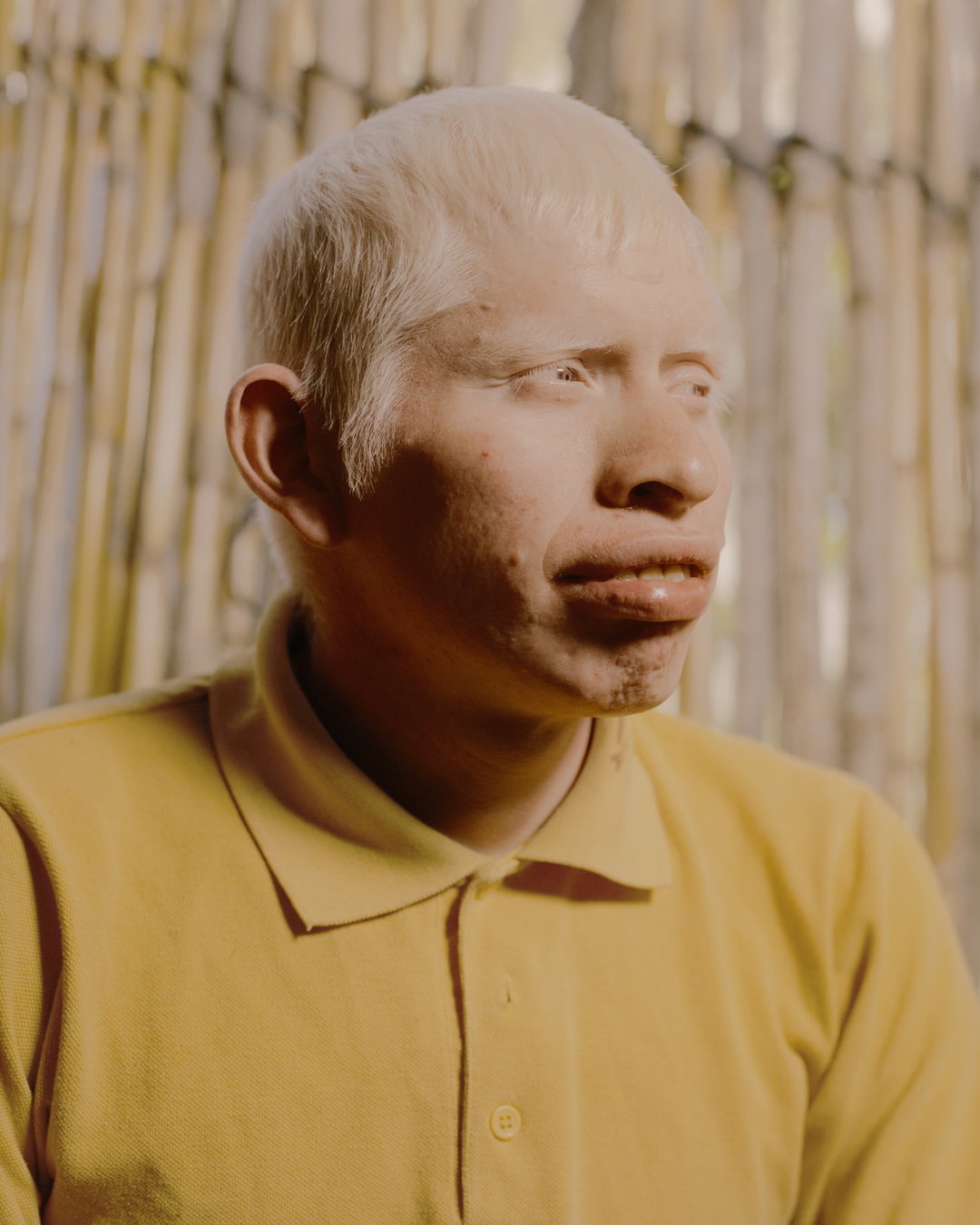 juan-brenner-genesis-itsnicethat04