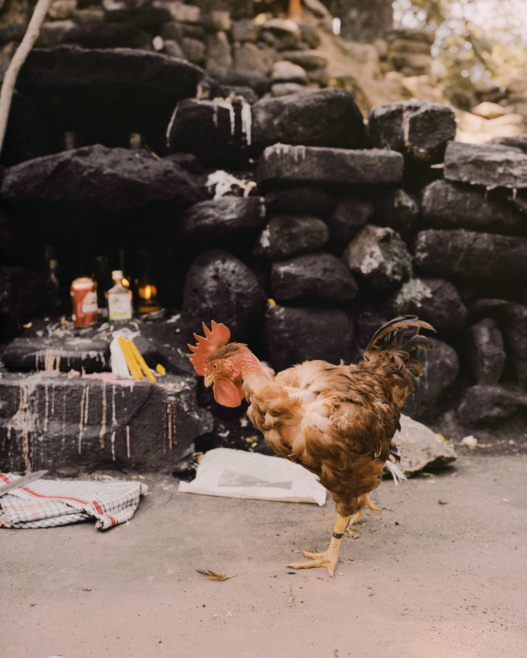 juan-brenner-genesis-itsnicethat15