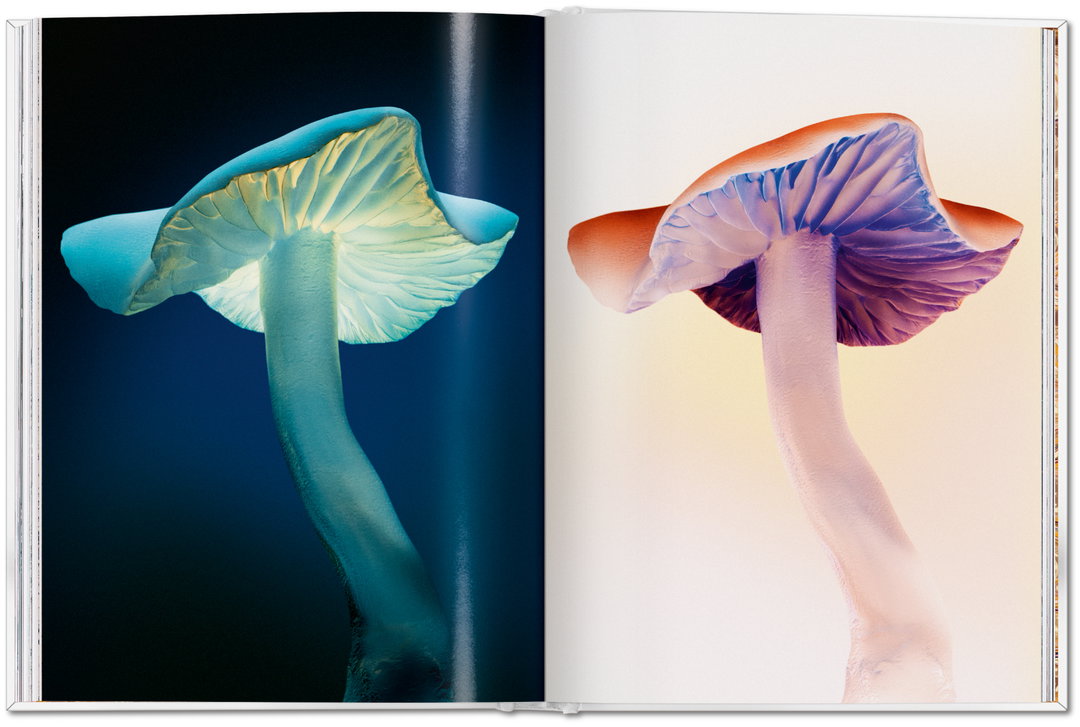 the-gourmand-mushroom-publication-photography-itsnicethat06
