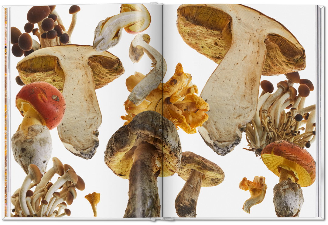 the-gourmand-mushroom-publication-photography-itsnicethat07