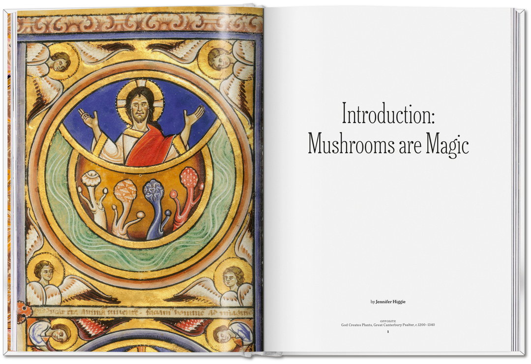 the-gourmand-mushroom-publication-photography-itsnicethat08