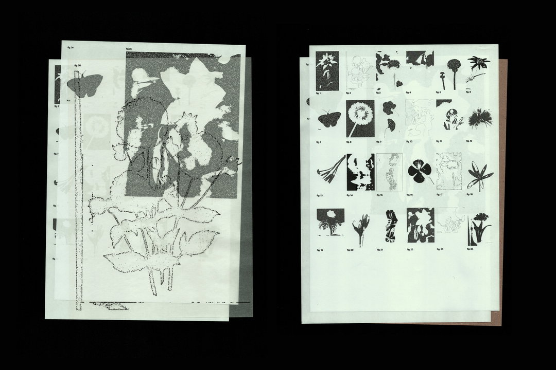 Gabonsa-Vrints-Kolsteren-graphic-design-project-itsnicethat-05