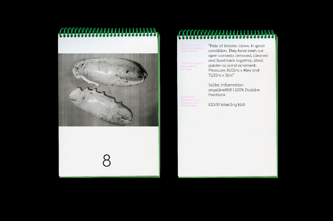 GeorgiaCranstoun-EbayCrit-GraphicDesign-itsnicethat-02.png