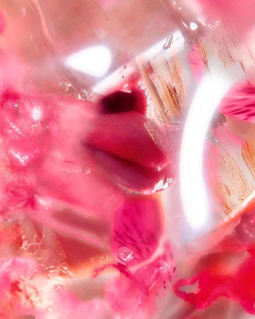 GerayMena-Photography-itsnicethat.jpg