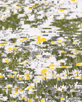 rob-farmer-animation-discover-itsnicethat-08