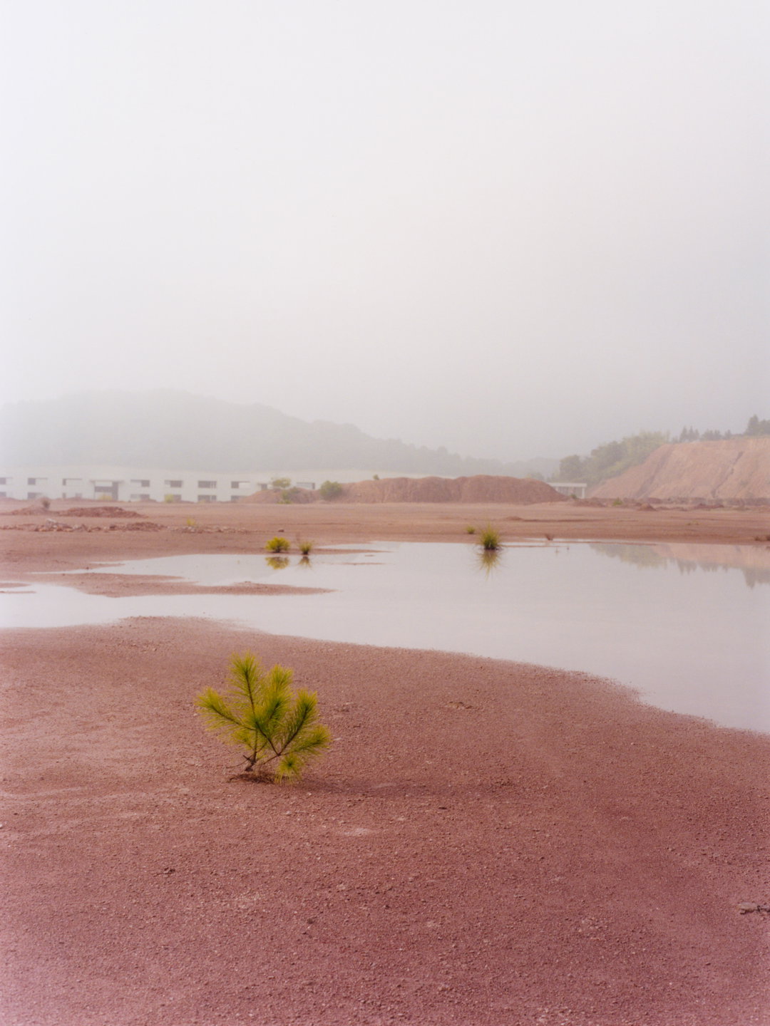 GregLinJiajie-LongyanBoysSeriesTwo-features-itsnicethat-photography-7.jpg