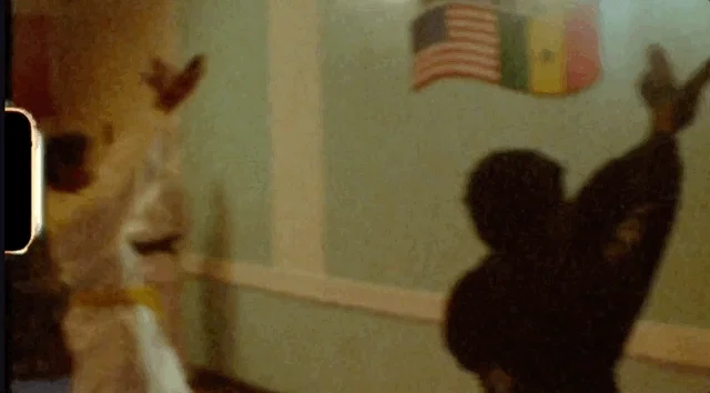 stephen-sawyer-how-can-not-film-itsnicethat01