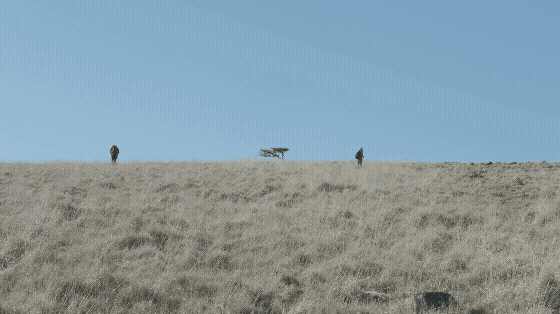 oscar-fox-where-the-hand-of-man-hath-never-trod-film-project-itsnicethat-05