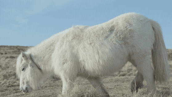 oscar-fox-where-the-hand-of-man-hath-never-trod-film-project-itsnicethat-09
