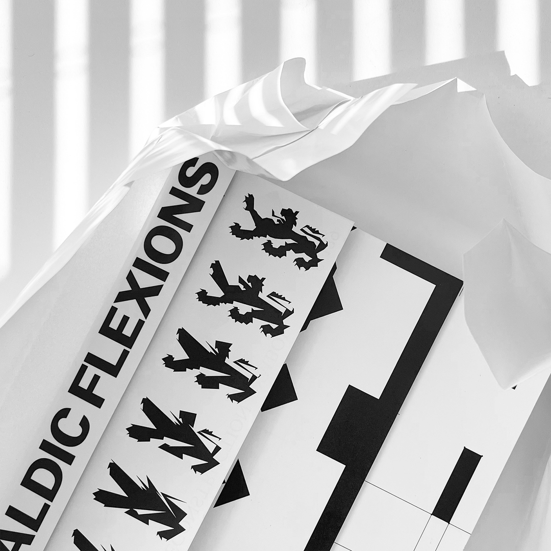 Heraldic Flexions, graduation project, book cover, 2022 - Yosh - itsnicethat.png