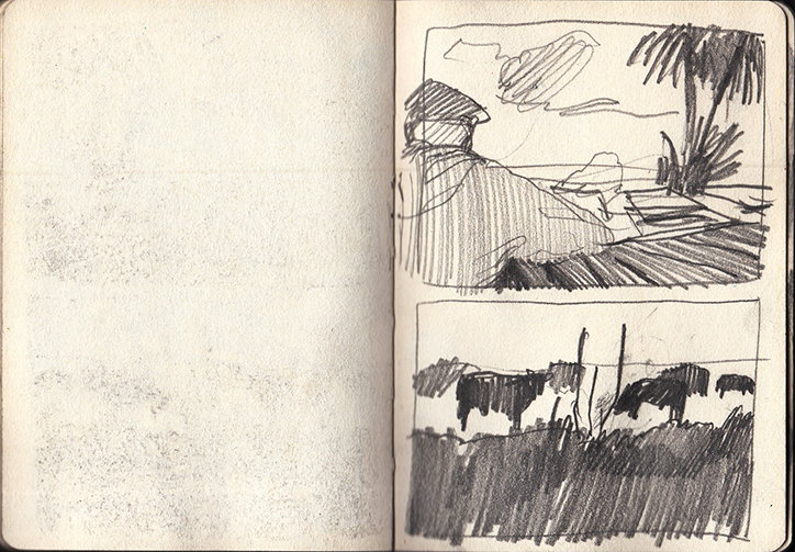 HollyWarburton-Cows-Sketchbbook-Illustration-itsnicethat-0.jpg