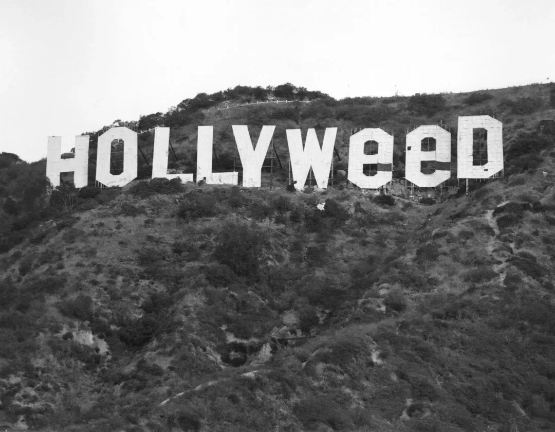 Hollyweed 1976 itsnicethat the view from la