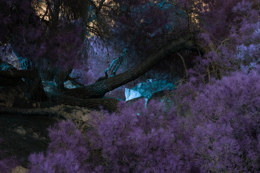 ClaudiaFuggetti-HotZone-Photography-itsnicethat.jpg