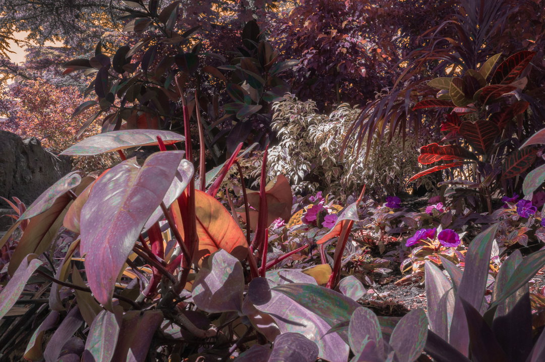 ClaudiaFuggetti-HotZone-Photography-itsnicethat.jpg