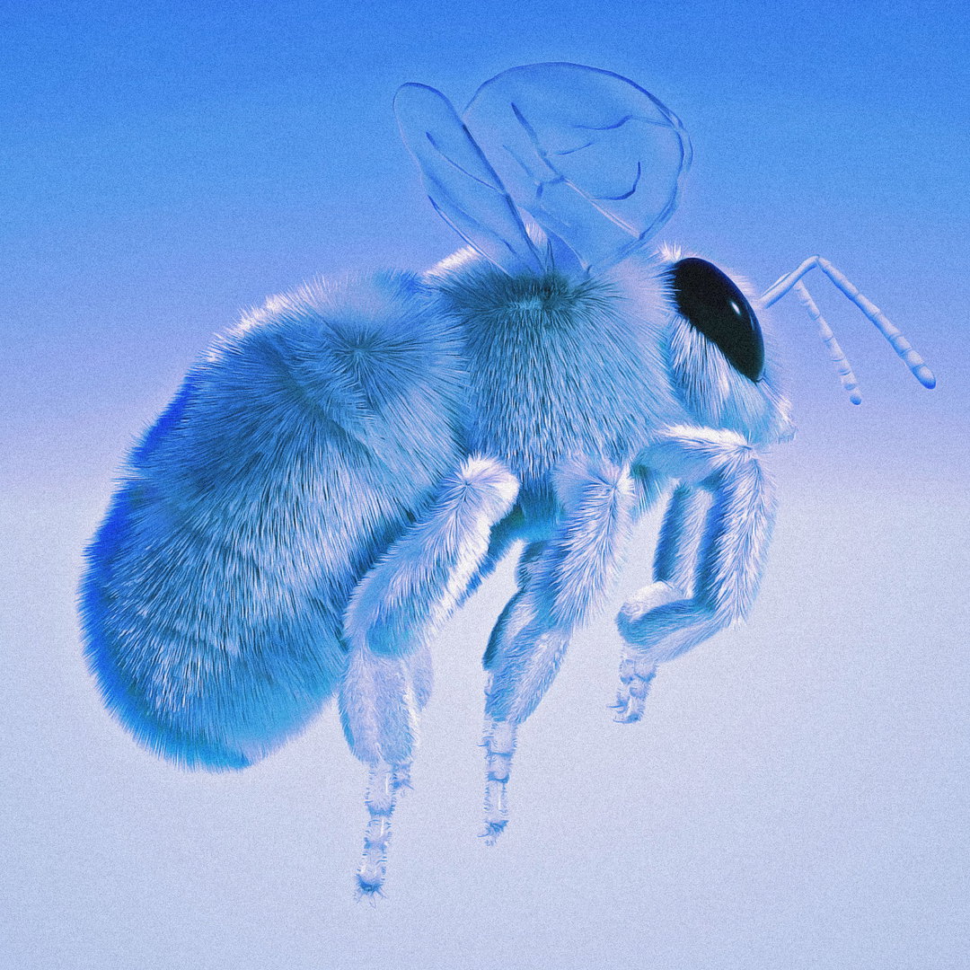 ICE BEE - Nov 2021 - Abel Emmanuel  - itsnicethat.jpg