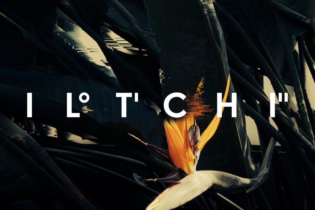 SaschaLobe-KimberleyLloyd-IltchiYachting-Branding-itsnicethat3.png