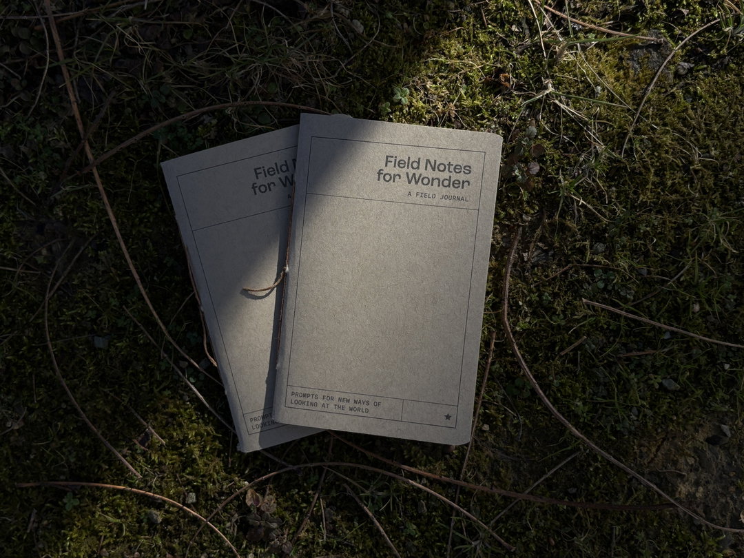 Valeria-Homayden-field-notes-for-wonder-itsnicethat-01