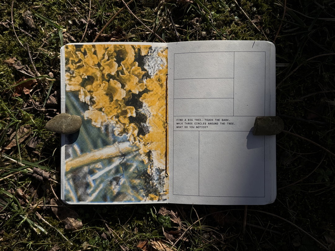 Valeria-Homayden-field-notes-for-wonder-itsnicethat-05