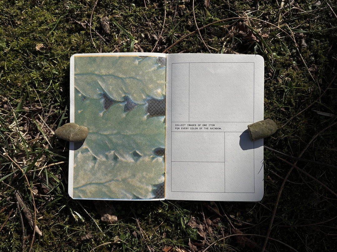 Valeria-Homayden-field-notes-for-wonder-itsnicethat-06
