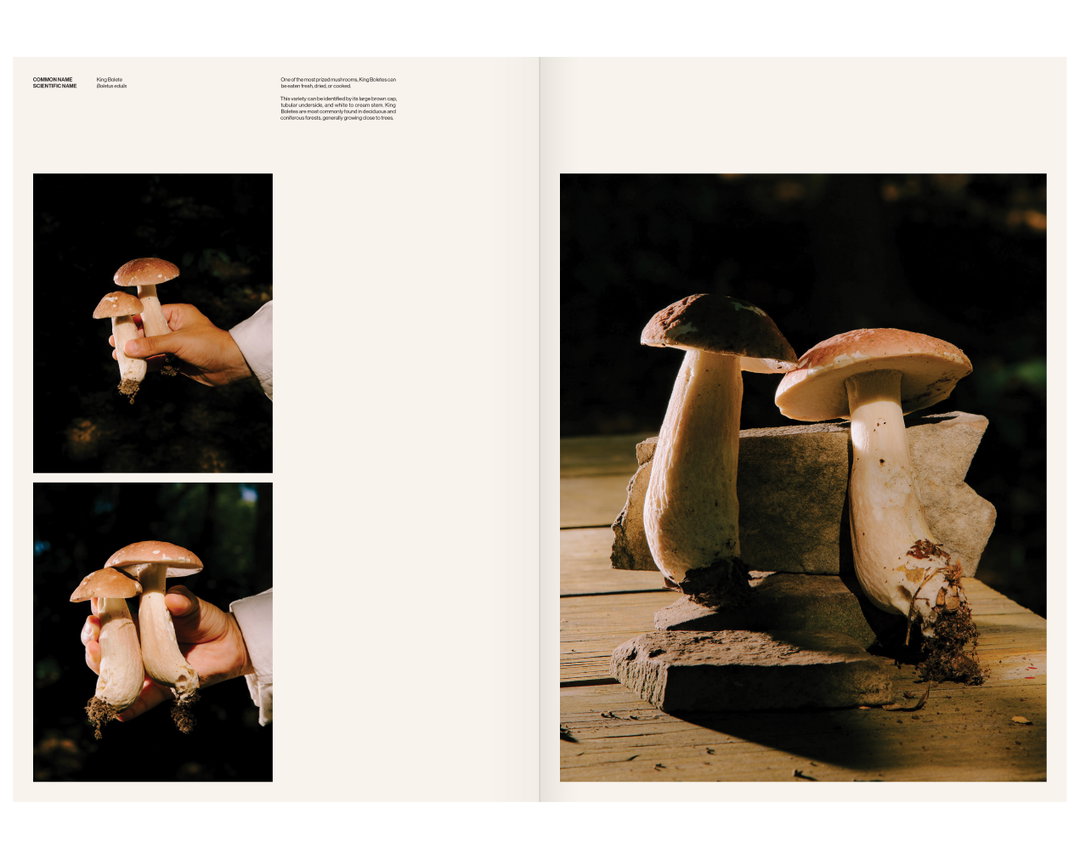 adam-whyte-pho-itsnicethat04