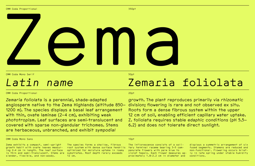 Comma-Type-cmm-coda-type-project-isnicethat-09