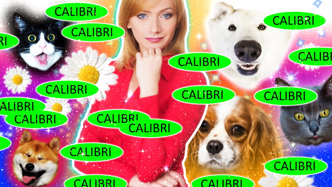 ItsNiceThat_Typography_Horoscopes_Ryan_Haskins_Calibri.jpg