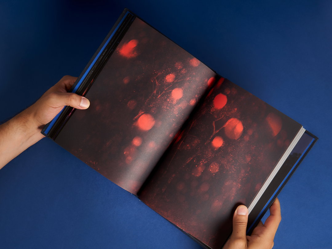 veraluciájiménez-gd-itsnicethat10
