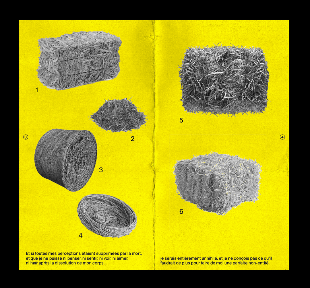 In-the-pool-studio-discover-itsnicethat-28.png
