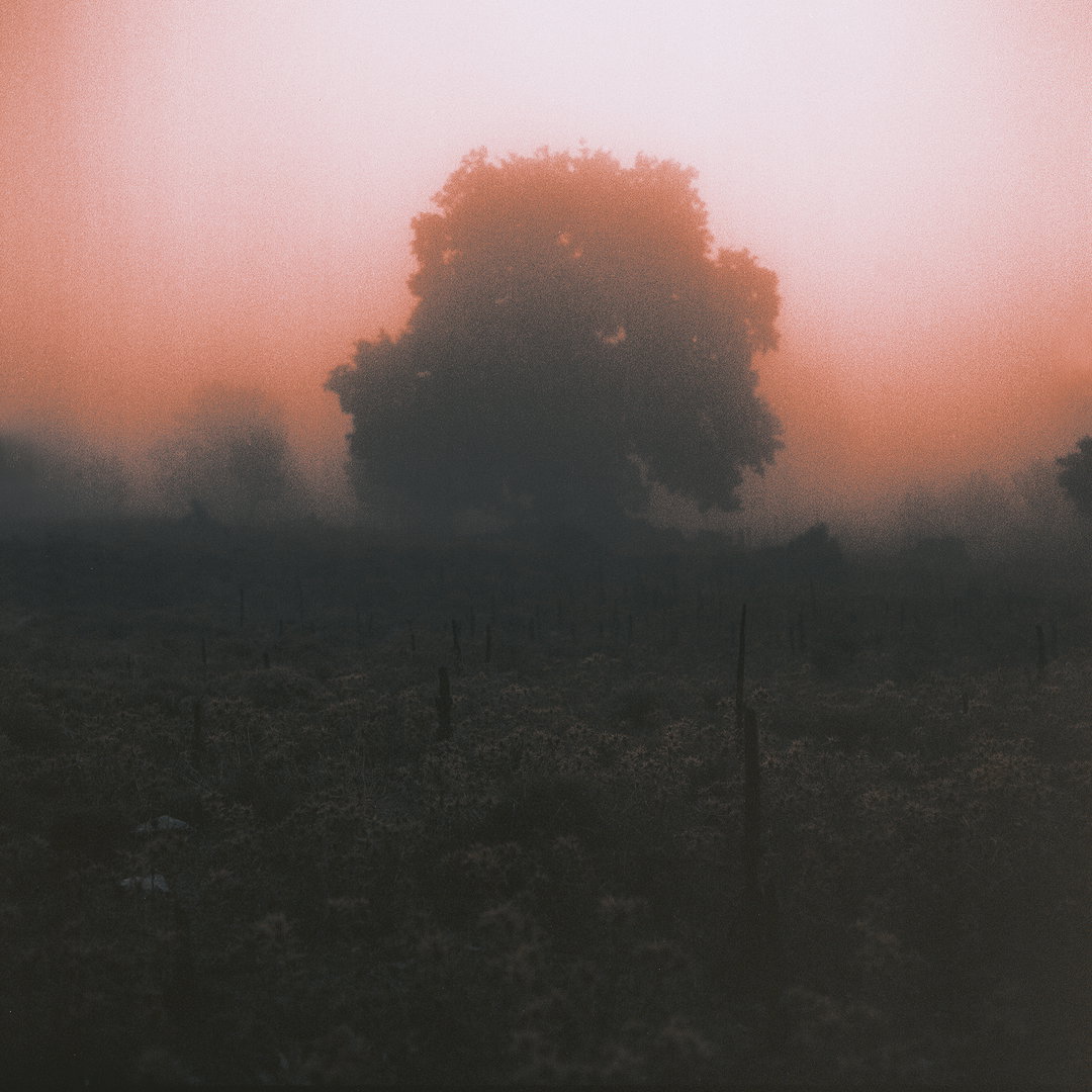 Fantasy, apocalypse and personal loss collide in Ioanna Sakellaraki’s photographs of Patmos
