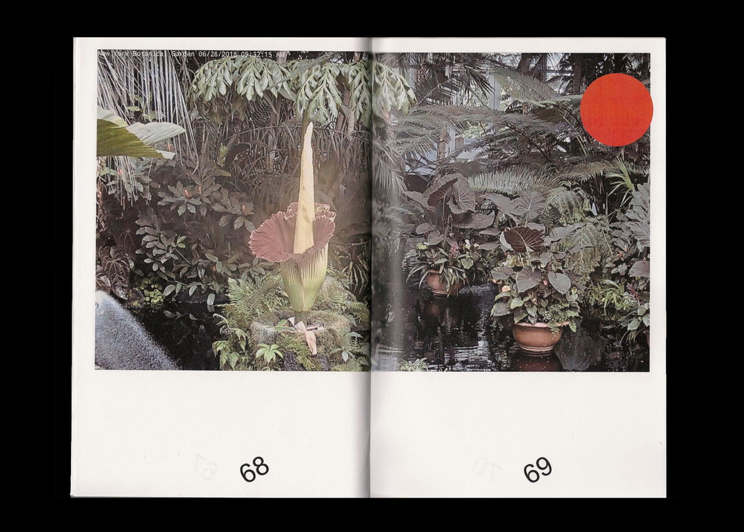 Kellen-Renstrom-gd-discover-itsnicethat-10