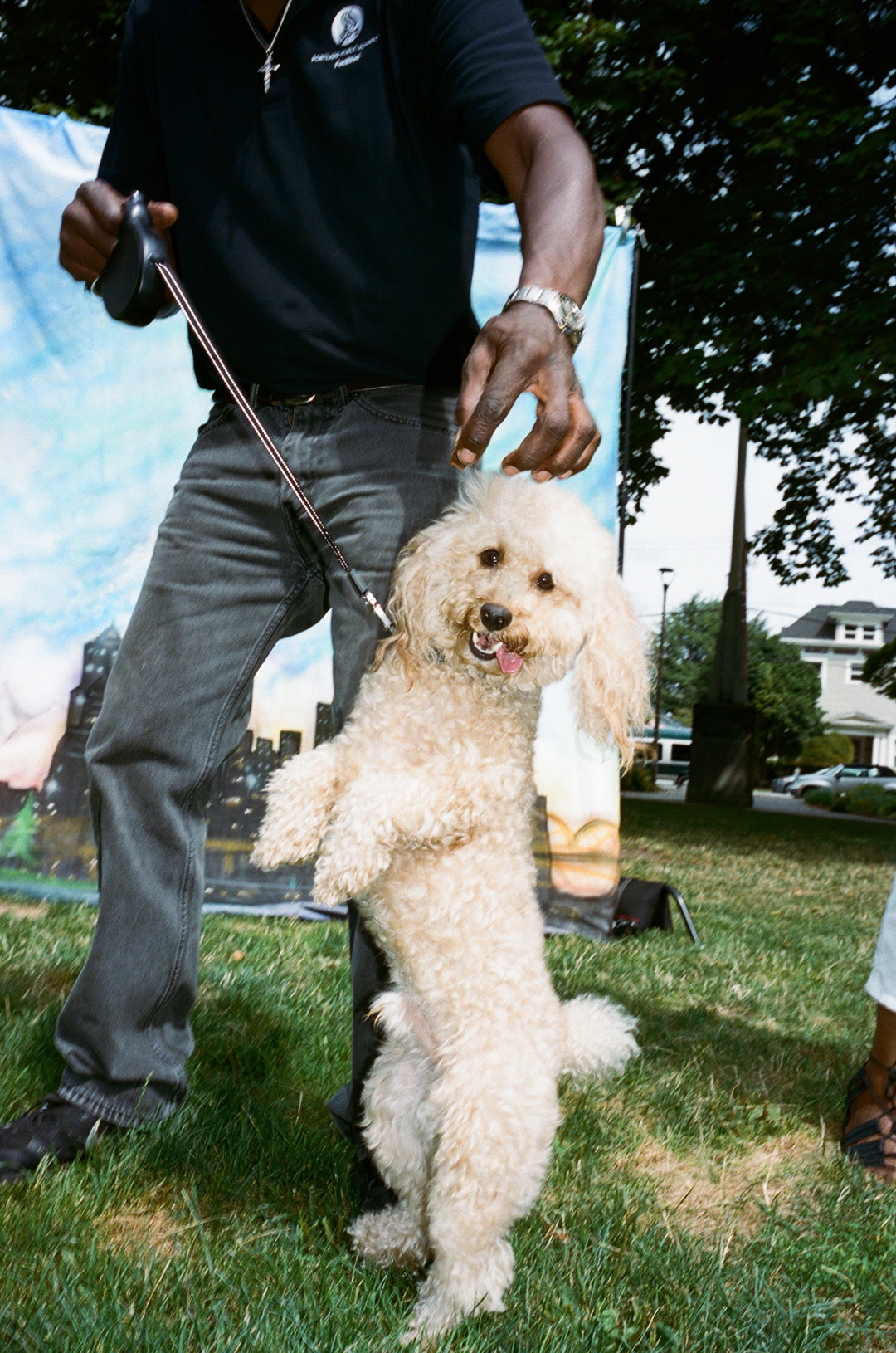 JOON01_DawsonPark_2.jpg