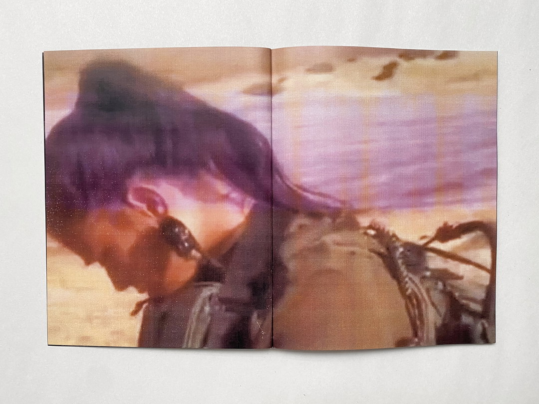 Jacob-Lazarus-frame-of-annexation-photography-itsnicethat-5.jpg
