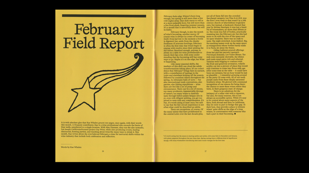James-Anderson-Graphic-Design-Discover-itsnicethat-15.png