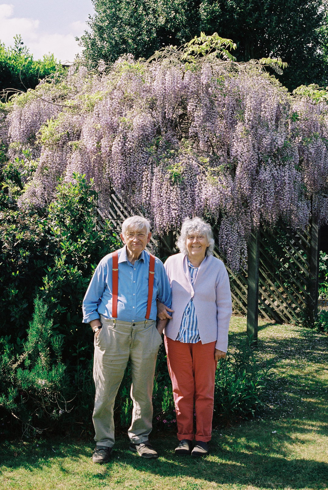 James Barnett Wisteria.jpg