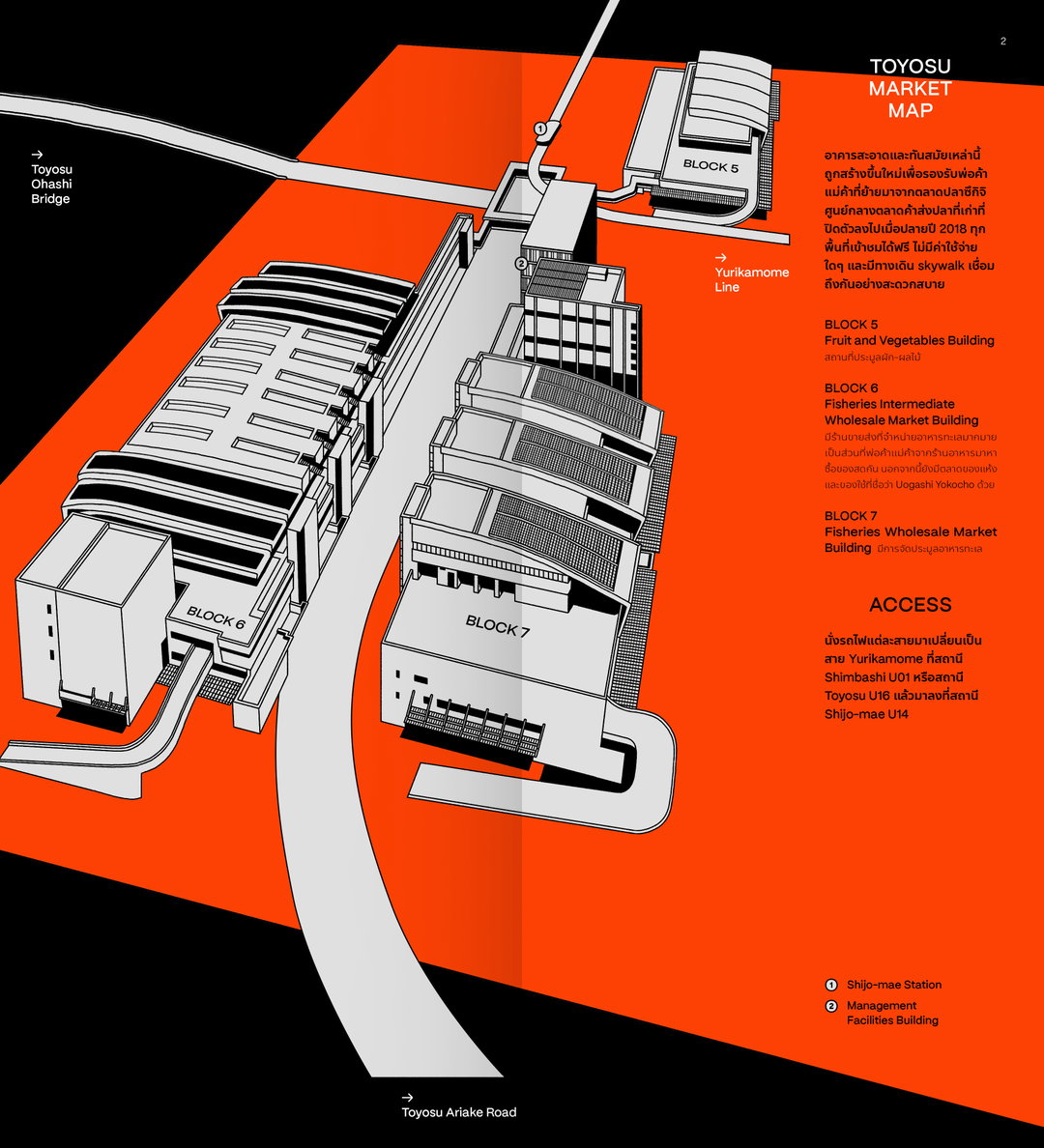 Janejira Taechakampu-illustration-graphic-design-itsnicethat-7.jpg