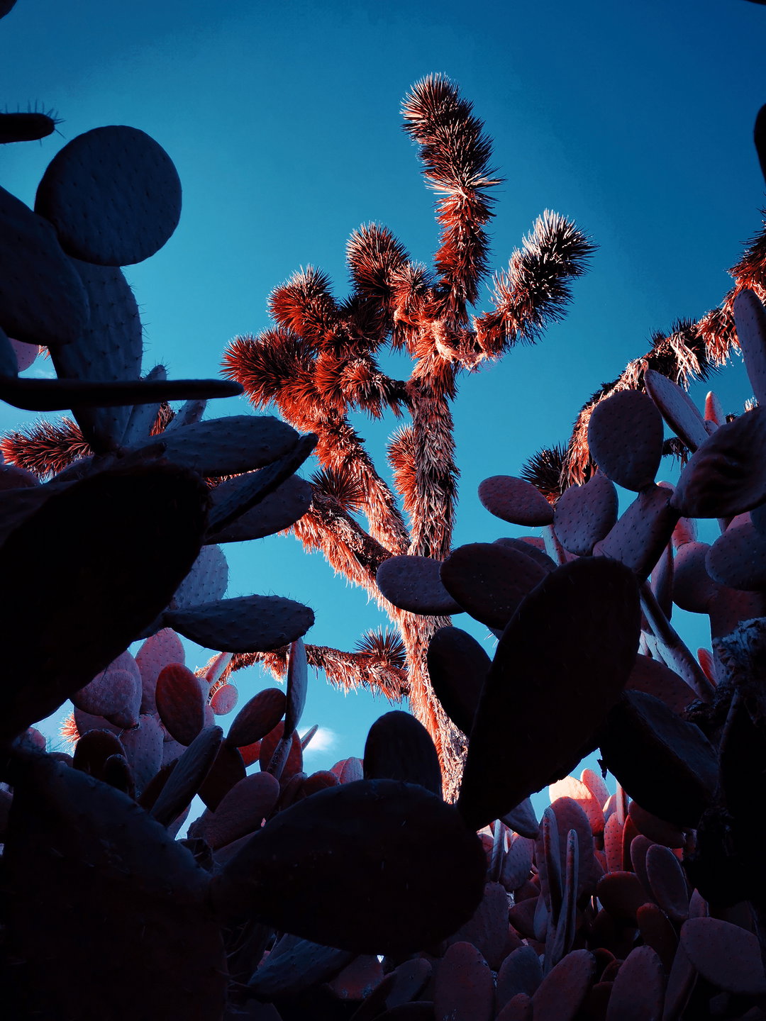 moon-exhibiton-pho-itsnicethat07