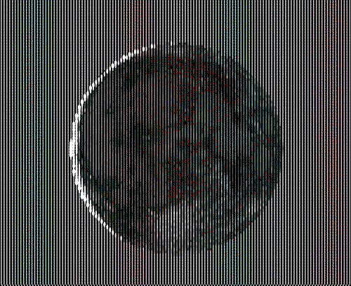 Ji-Park-Graphic-Design-Discover-itsnicethat8.gif