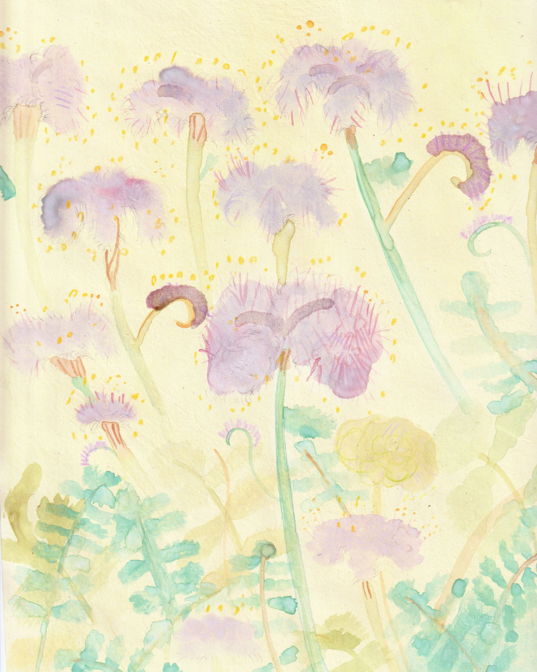 Johanna Tagada Hoffbeck-itsnicethat-rewildingcreativity.jpg