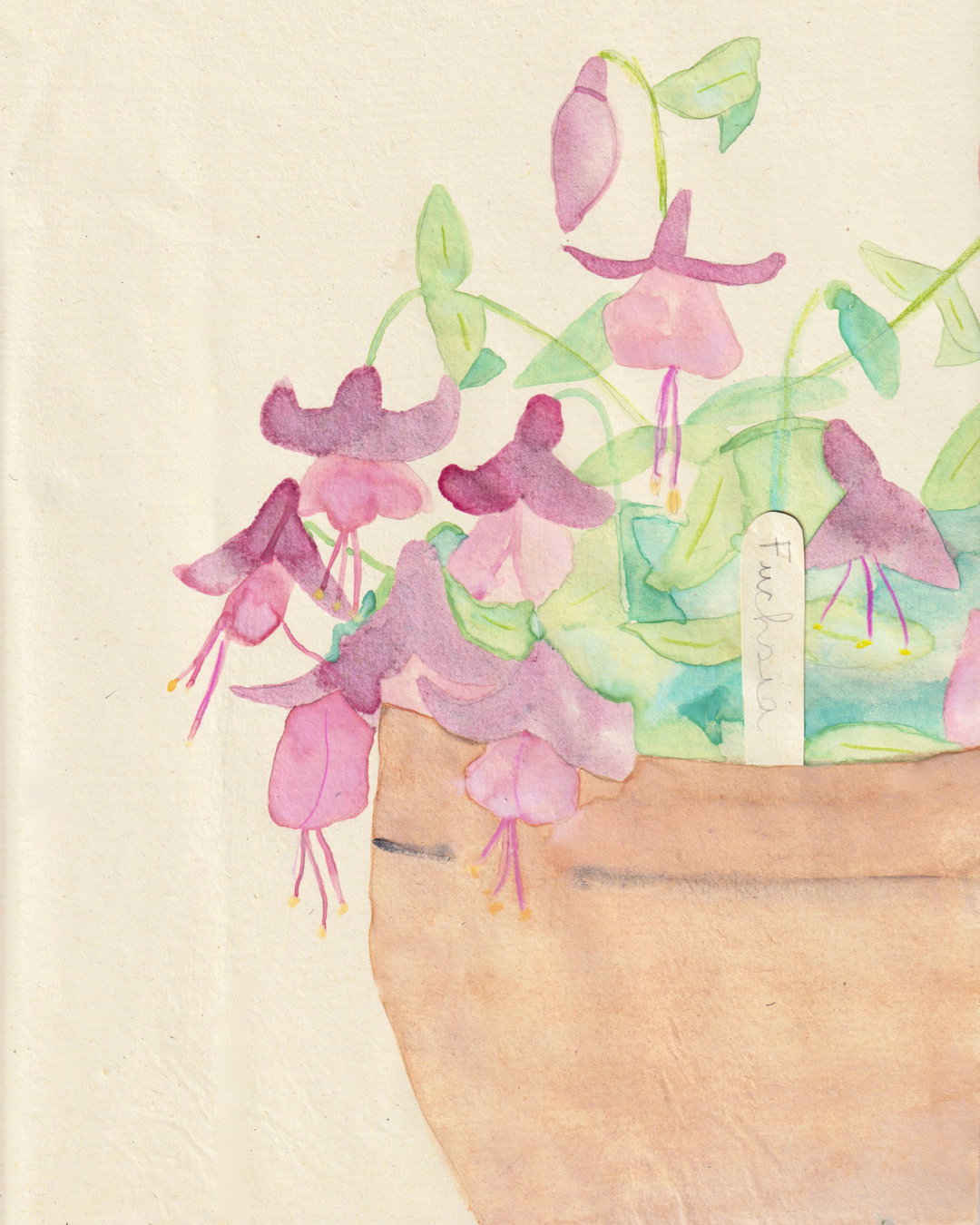 Johanna Tagada Hoffbeck-itsnicethat-rewildingcreativity 3.jpg