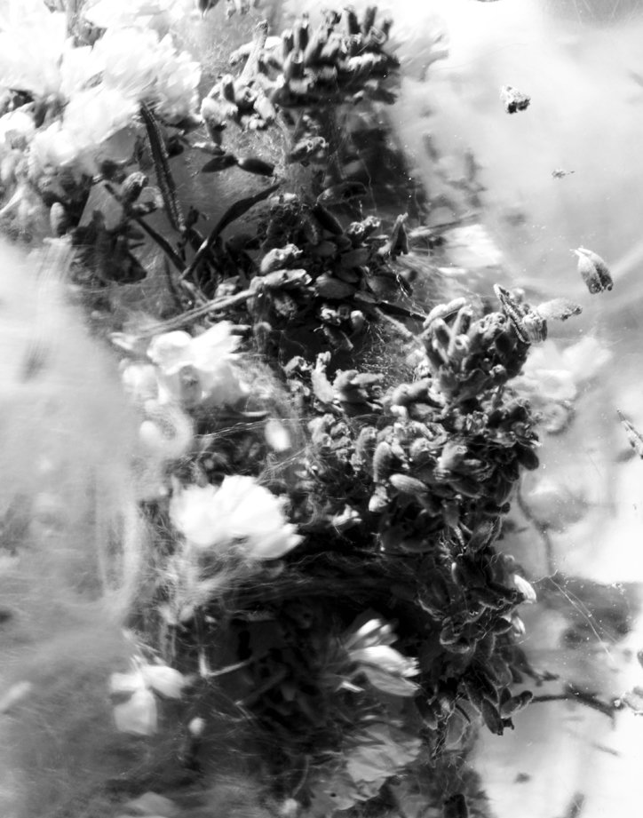 Jori-komulainen-photography-itsnicethat-2.jpg