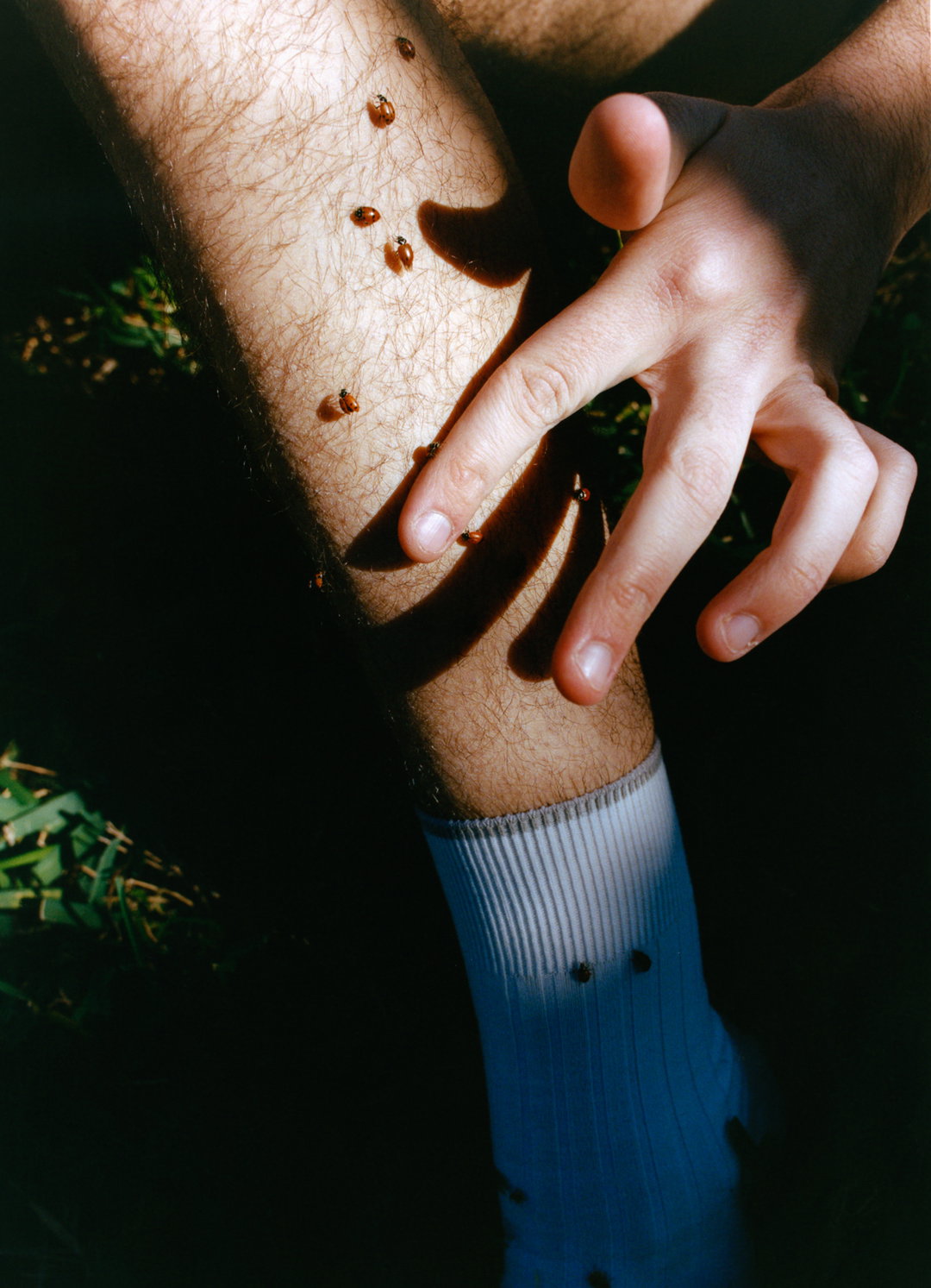 Josh-Aronson-Tropicana-work-photography-itsnicethat-13.jpg
